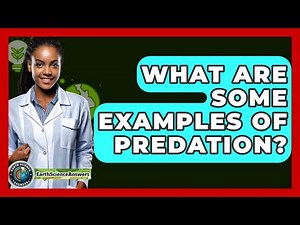 What Are Some Examples Of Predation? - Earth Science Answers
