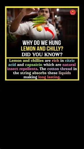 did you know 😱 new intresting facts Today in english ☺️ #facts #shorts #viral