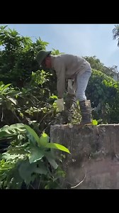 5.9K views · 147 reactions | Satisfying Clean-Up That Will Make You Want to Tidy Everything! #EpicCleanup #HistoryUncovered #LawnTransformation #cleaning #clean | CleanUp Crew | Facebook