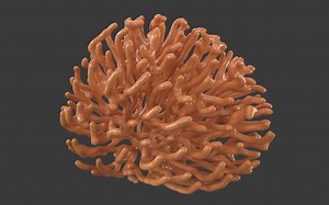 2022答疑374：小亮老师讲解tyflow野生教程，神经元生长动画