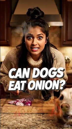 Are Onions Toxic to Dogs? | #DogHealth #Onions #PetCare #DogSafety