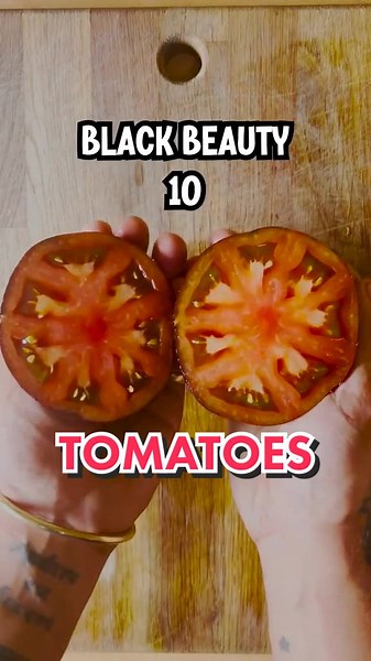Exploring 32 Unique Tomato Varieties | Tomato Shapes, Colors, and Sizes