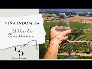 🇨🇱🍷 Luxury Travel in Chile: Visit to the Indomita Vineyard in the Casablanca Valley | Beautiful G...