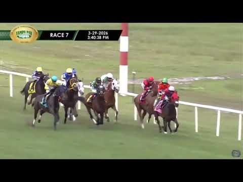 Tampa Bay Downs + Aqueduct Horse Racing Full Replays + Results | March 29, 2026