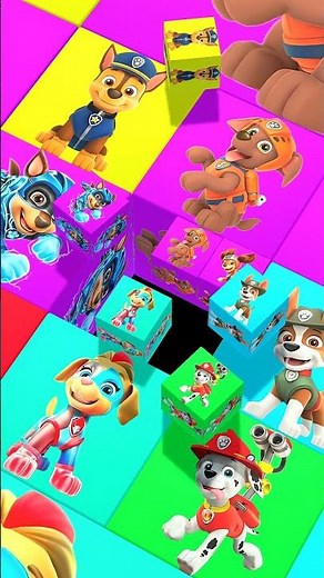 Paw Patrol Heroes 💥 | 3D Block World #pawpatrol #team
