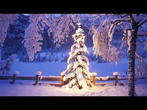 Antonio Vivaldi "Winter" 2. Satz ~ HD