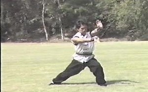 大卫.李——刘家拳.David.Lee.-.Lau.Gar.Fist