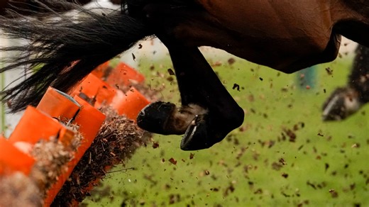 Hippisme: un cheval a été euthanasié après avoir remporté une course en Angleterre