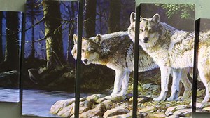 9.8K views · 779 reactions | The Wolves Are Calling, Do You Hear Them? This 5 Piece Canvas Artwork is PERFECT for the Living Room, Bedroom, Den, or Office! Grab Yours Today  https://goo.gl/QTfYQZ [50% Off For A Limited Time] This canvas that is shown here is our LARGE FRAMED Version! | Wolf Addiction | Facebook