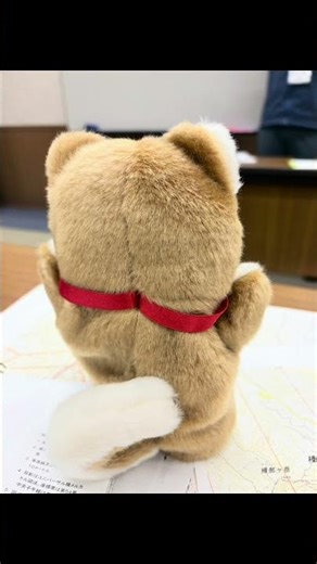 地図読み講習会と登山