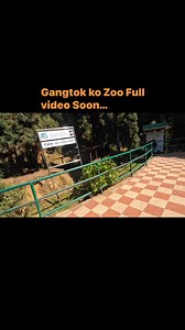 Zoo of Sikkim | SaraJewan