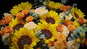 2.3M views · 917 reactions | The #200MPImagingSystem combines leading hardware and advanced software to ⁣#MakeMomentsMega in your everyday captures. #Xiaomi12TSeries Learn how it's made possible in this #XiaomiAcademy episode.  | Xiaomi | Facebook