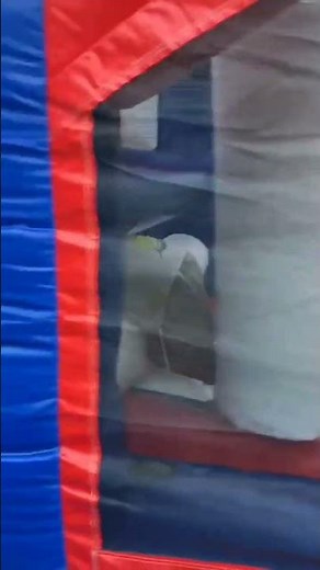 We're Gonna Hop Hop | Popcorn Hop | by Morah Music #short