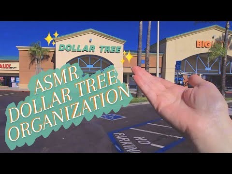[ASMR] Organizing Shelves at Dollar Tree (ambient sounds, whispering, soft spoken, tapping, lofi)