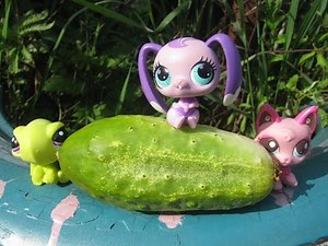 LPS:Stop Motion №3 Весёлый танец