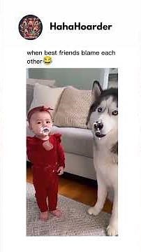 Meme Overload: The Funniest Compilation Ever!