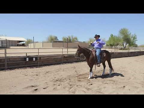 Using the CowTrac Mechanical Cow for Cutting Horses