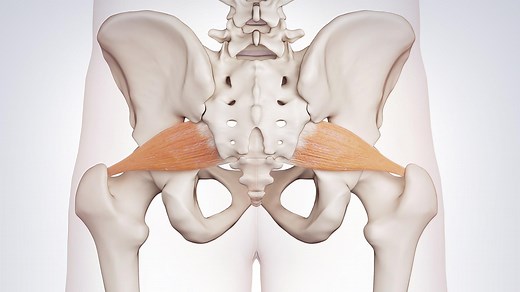 Schmerzen ziehen vom Rücken in Po und Bein - das Piriformis-Syndrom kann schuld sein
