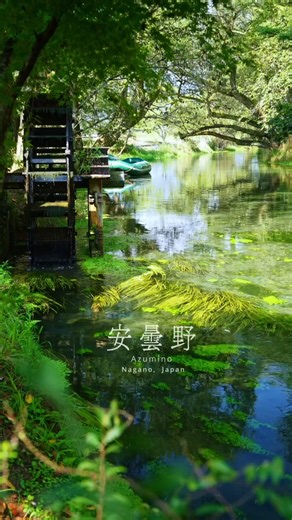 34K views · 703 reactions | Enjoy the flavour of fresh wasabi...