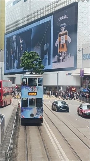 RIDE AT TRAM TO GET FULL VIEW THE CITY OF HONGKONG #tram #tramtour #citypass #Causewaybay #hongkong