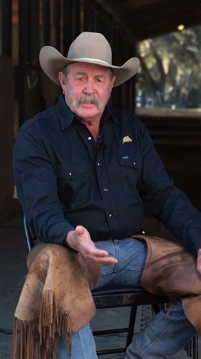 29K views · 480 reactions | ✨ HOW TO PARELLI ✨ The Parelli Levels...