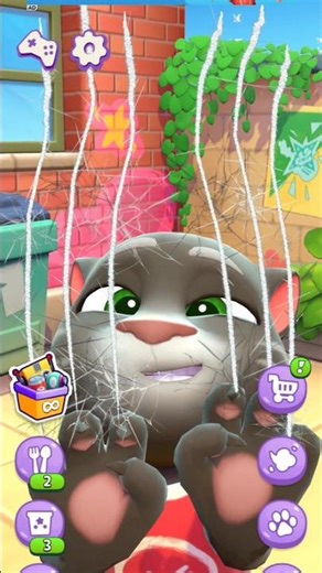 Crazy Cat Scratch The Screen #scratch #crazycat #shortvideo #feedshorts