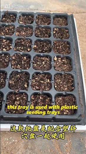 Microgreen House Seedling Trays — Perfect Start for Your Indoor Garden