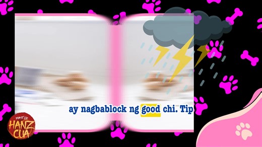 2.5K views · 34 reactions | Isa ka bang dog owner? Para sa iyo ang video na ito!Panuorin at alamin kung paano magdadala ng suweerte sa iyo ang iyong alagang asa.✨ | Master Hanz Cua | Facebook