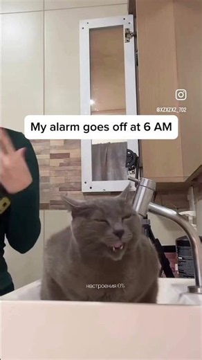 He’s definitely not a morning person 💀