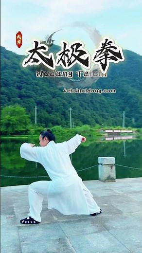 251046-----Wudang Taichi