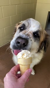 8.6K views · 143 reactions | We interrupt your daily routine to...