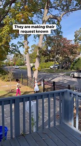 They are making sure he knows what to bring the next time her visits | A Life Less Scripted