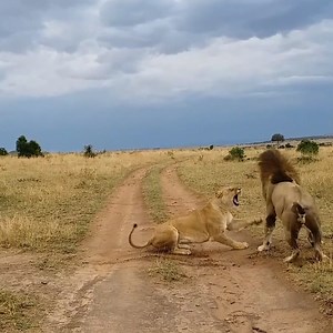 9.2M views · 179K reactions | Here's me commentary on a bloody questionable advance  | Ozzy Man Reviews | Facebook