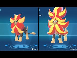 Pyroar Mega Evolution - Pokemon Legends Z-A