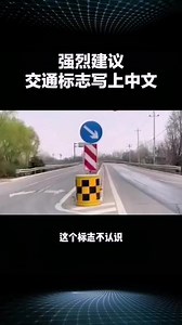 这些交通标志你都认识吗？#每天一个汽车知识 #汽车知识分享