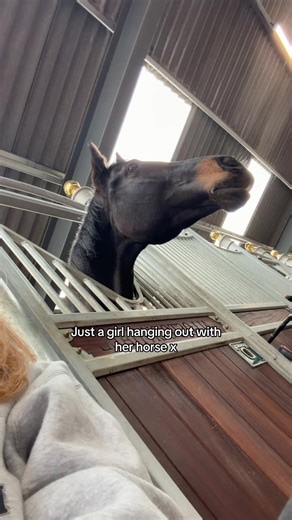 Spending Hours at the Stables: Equestrian Lifestyle Explained