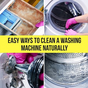 Clean a washing machine from limescale, mold and dirt! | Fabiosa UK
