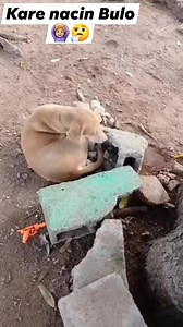 Kare nacin Bulo 🙆🏼‍♀️🤔 #creatorsearchinsights2024 #frypanシviralシ2024 #Kannywoodactress #facebookviral #farming #creatorsearchinsights #rellsfacebook #highlightseveryonefollowers2024 #pyfツviral_ #workfromhome | Umar Mazad Isah