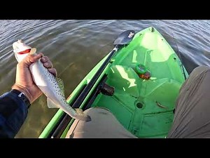 Fishing with and reviewing the Crescent ck1