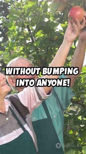 Robotic Apple Harvesting Performance | Real-Time Perception & Path Planning