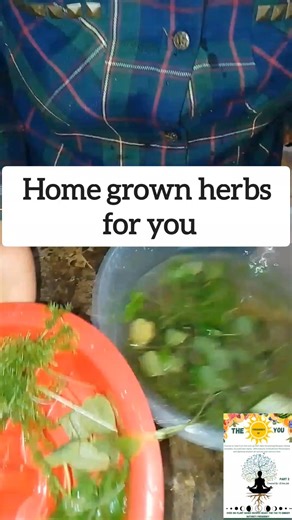 How to Grow medicine #fyp