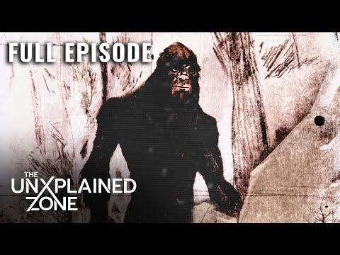 Deadly Creature ATTACKS Southern Town (S1, E2) | Cryptid: The Swamp Beast | Full Episode