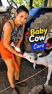 Calf Care 🐄❤️ | Caring for a Baby Cow, Feeding & Healthy Farm Life | Maria Vlogs #cowfarming