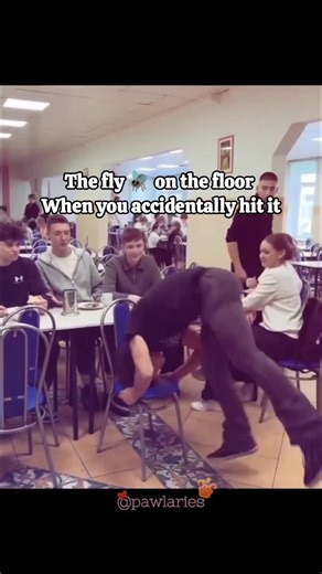 Pawlaries🐾 on Instagram: "Buzzz🪰🗣️ The moment I accidentally hit a fly, it doesn’t just fall — it starts acting like it’s in a dramatic slow-motion movie scene. Instead of flying away like a normal creature, it lands on the floor and begins this weird, confused walking routine, zigzagging like it just lost Wi-Fi connection to its brain. One wing works, the other has clearly resigned from duty. The fly spins in tiny circles, pauses like it’s reconsidering life choices, then suddenly runs forwa