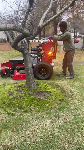 Using a grandstand mower like a walk behind to maneuver around low branches and tree beds. ￼