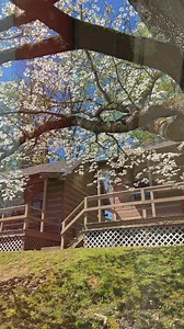 Whether or not you have an RV, come stay at Riverside in one of our cabins! Our cabins officially re-open next month, and we are excited for our guests to experience a rustic cabin getaway in the heart of our park. Give us a call at 865-453-7299 to reserve your cabin staycation today. | Riverside Rv and Resort