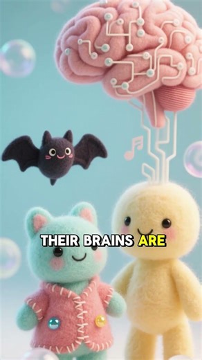 Echo Locators Bat’s Night Flight