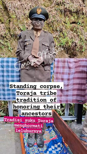 11K views · 75 reactions | Standing corpse, Toraja tribe tradition of honoring their ancestors #manenek #torajacultulture | Toraya Mala'bi' | Facebook