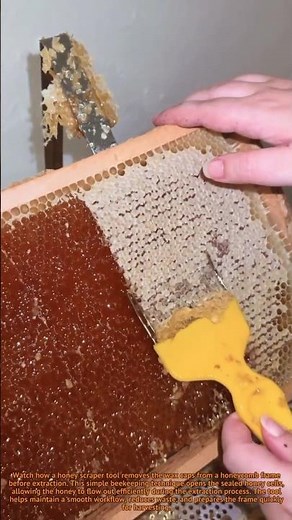 Honey Scraper Trick | Honeycomb Uncapping Hack for Faster Honey Extraction #HoneyHack