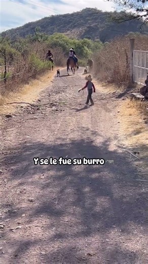 Corre vaquerito por ese burrito corre 🏃‍♂️ #caballos #fypシ #horse